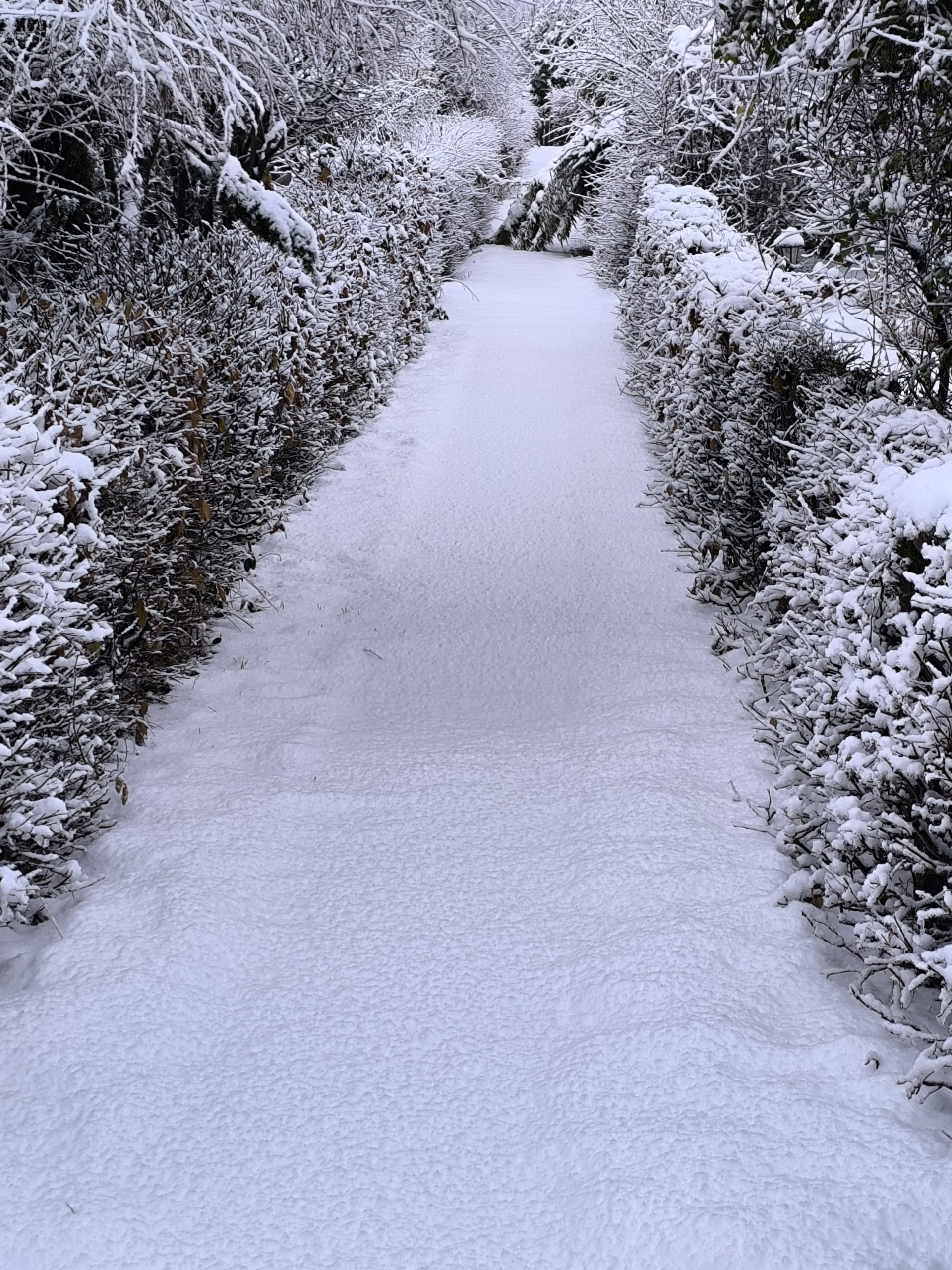 Winterwonderland Marschbahndamm (nicht nur für Rehe)